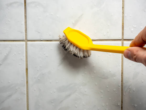 Mold Testing and Removal in New Sarpy, LA