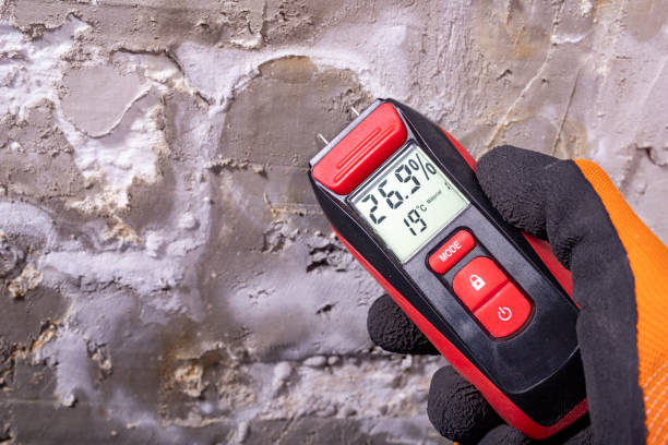 Best Mold Removal Near Me  in New Sarpy, LA
