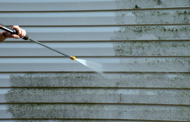 Best Commercial Mold Removal  in New Sarpy, LA