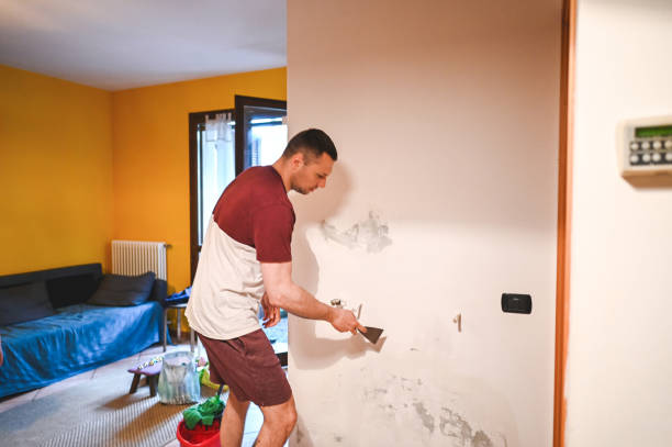Best Mold Damage Repair  in New Sarpy, LA