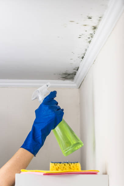 Water Damage Restoration in New Sarpy, LA